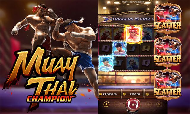 Muay Thai Champion