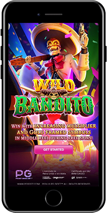 Wild Bandito